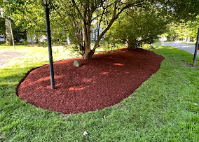 Freshly mulched island bed around a mature tree